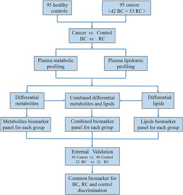 LC-MS-Based Plasma Metabolomics and Lipidomics Analyses for Differential Diagnosis of Bladder Cancer and Renal Cell Carcinoma